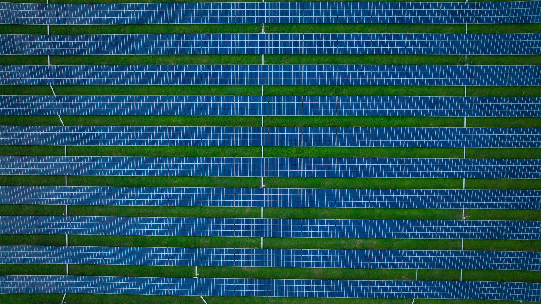 Parallel rows of solar panels viewed from above