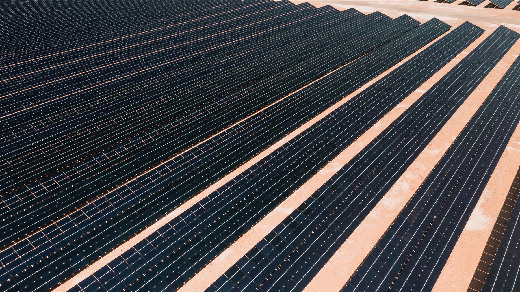 Dark solar panel rows separated by bare ground