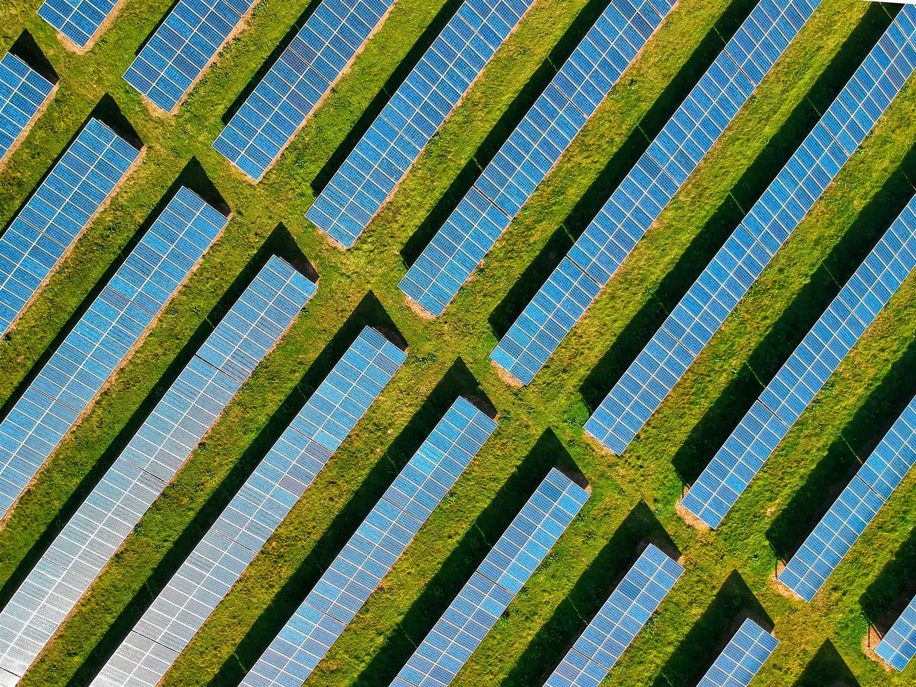Diagonal rows of solar panels above green grass