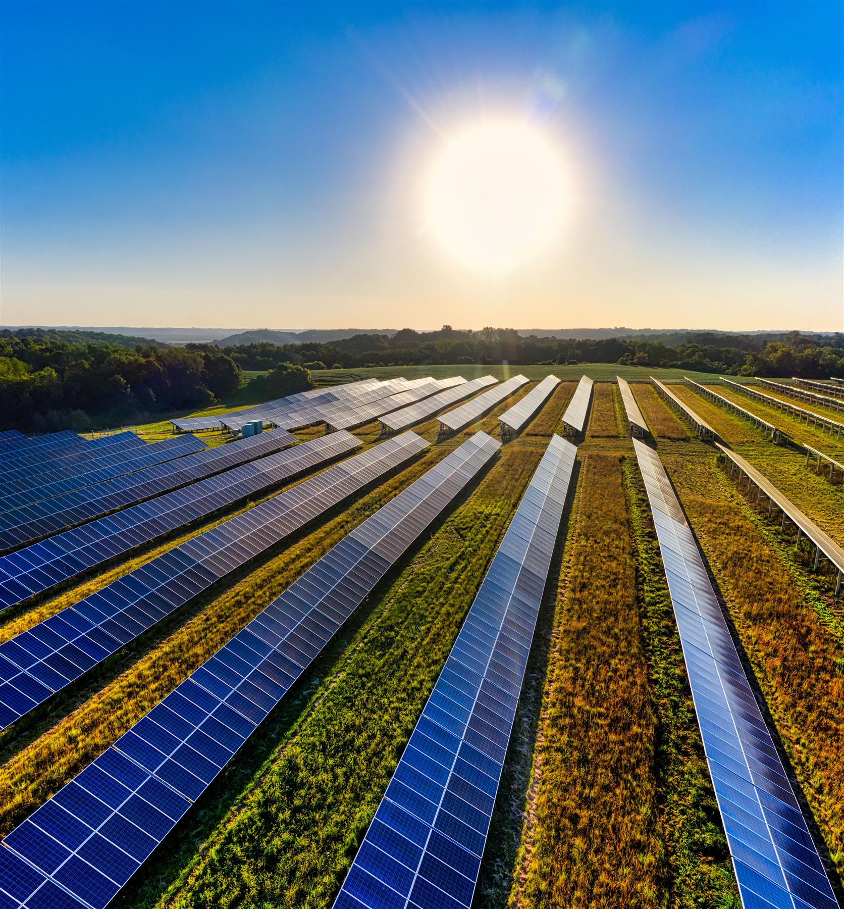 Solar panel rows beneath the sun in a rural landscape