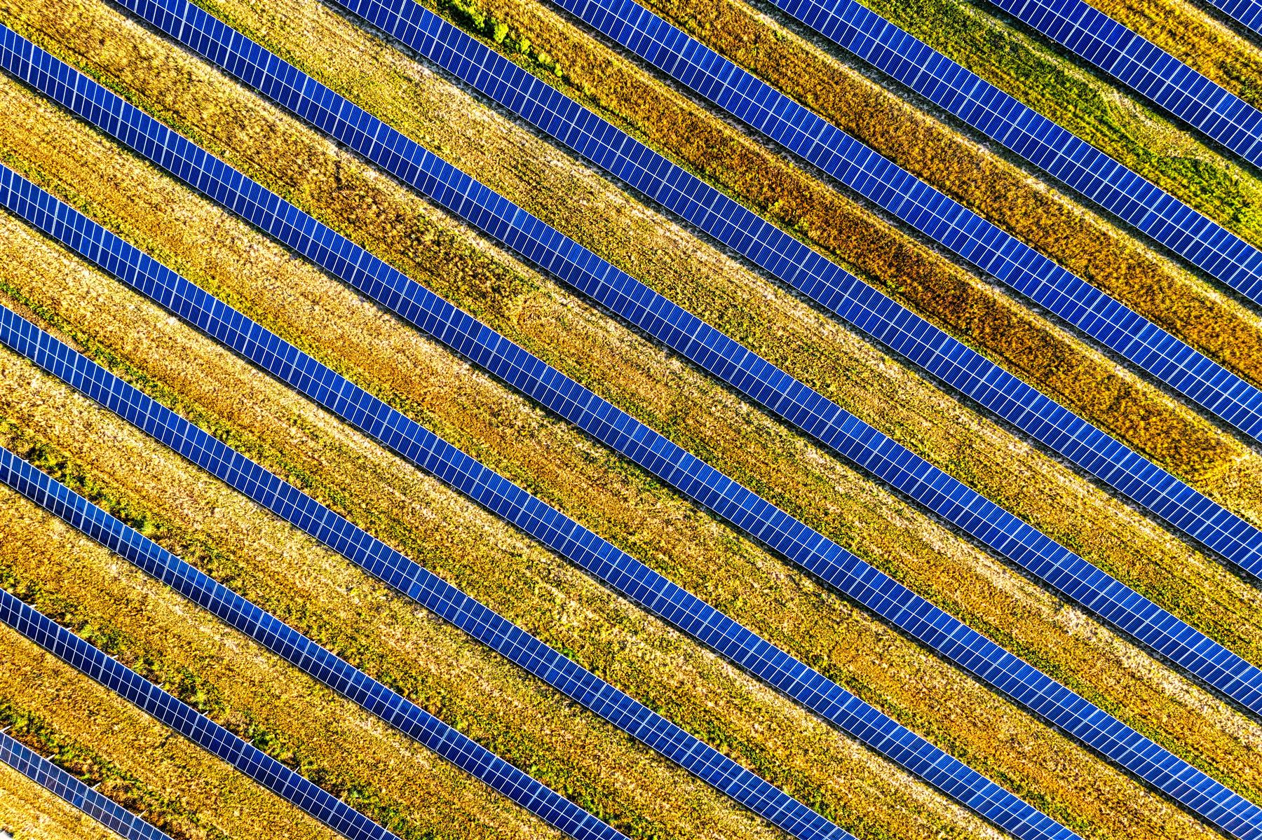 Solar panels arranged in diagonal rows across dry grass